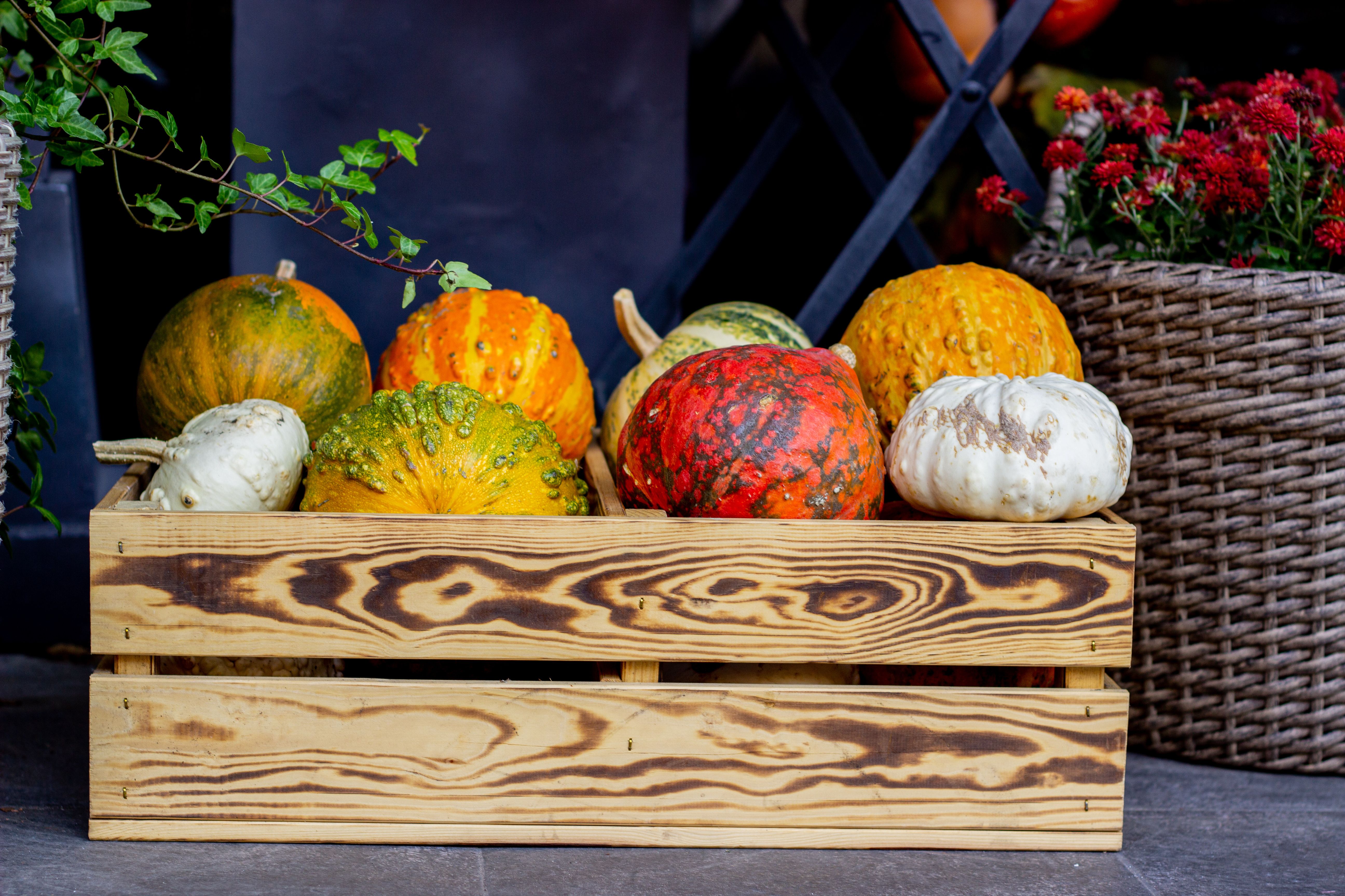 Wooden crate filled with fresh vegetables